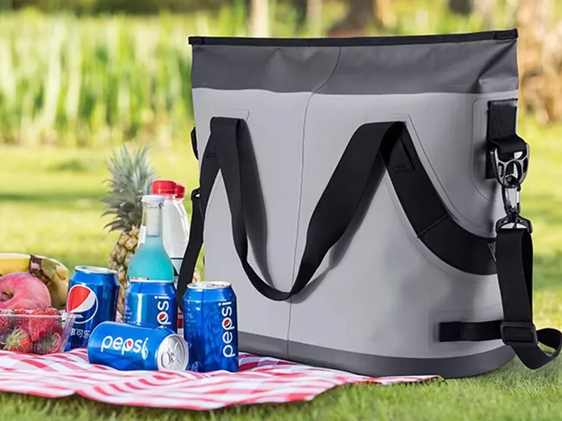 Роль пакетів для льоду в кемпінгу